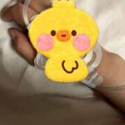 ヒメ日記 2025/08/23 09:00 投稿 まこと あとりえ(ATELIER)