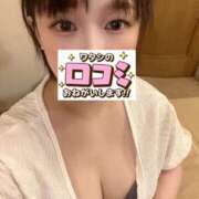 ヒメ日記 2025/10/10 10:15 投稿 まこと あとりえ(ATELIER)