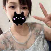 ヒメ日記 2025/10/10 13:30 投稿 まこと あとりえ(ATELIER)