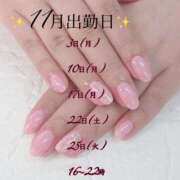 ヒメ日記 2025/11/01 10:02 投稿 まこと あとりえ(ATELIER)