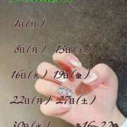 ヒメ日記 2025/11/19 13:00 投稿 まこと あとりえ(ATELIER)