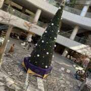 ヒメ日記 2025/12/09 13:38 投稿 まこと あとりえ(ATELIER)