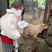 ヒメ日記 2026/01/03 14:45 投稿 まこと あとりえ(ATELIER)