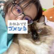 ヒメ日記 2026/01/04 14:00 投稿 まこと あとりえ(ATELIER)