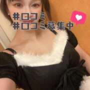 ヒメ日記 2026/01/12 14:25 投稿 まこと あとりえ(ATELIER)