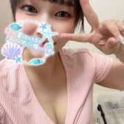 ヒメ日記 2026/02/14 14:00 投稿 まこと あとりえ(ATELIER)