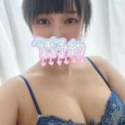 ヒメ日記 2026/02/17 12:33 投稿 まこと あとりえ(ATELIER)