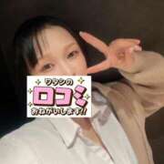 ヒメ日記 2026/02/28 14:11 投稿 まこと あとりえ(ATELIER)