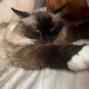 ヒメ日記 2026/04/12 20:32 投稿 まこと あとりえ(ATELIER)