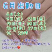 ヒメ日記 2026/05/21 19:43 投稿 まこと あとりえ(ATELIER)