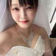 ヒメ日記 2026/06/08 13:02 投稿 まこと あとりえ(ATELIER)