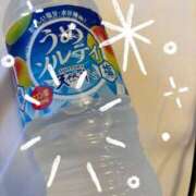 ヒメ日記 2025/06/15 06:20 投稿 みみ 千姫(道後)