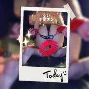 ヒメ日記 2026/02/12 07:30 投稿 るい 横浜 風俗 妻がオンナに変わるとき