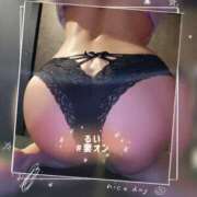 ヒメ日記 2026/04/17 07:31 投稿 るい 横浜 風俗 妻がオンナに変わるとき