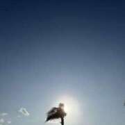 ヒメ日記 2025/12/17 10:04 投稿 あやせ Sweet Room