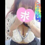 ヒメ日記 2025/06/11 12:00 投稿 みこと ちゃんこ幕張店