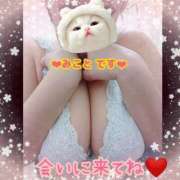 ヒメ日記 2025/06/15 17:00 投稿 みこと ちゃんこ幕張店