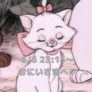 ヒメ日記 2025/06/07 15:37 投稿 かれん 岐阜岐南各務原ちゃんこ