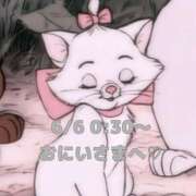 ヒメ日記 2025/06/07 18:07 投稿 かれん 岐阜岐南各務原ちゃんこ