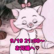 ヒメ日記 2025/09/20 00:37 投稿 かれん 岐阜岐南各務原ちゃんこ