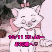 ヒメ日記 2025/10/14 17:07 投稿 かれん 岐阜岐南各務原ちゃんこ