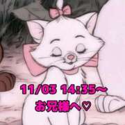 ヒメ日記 2025/11/03 16:07 投稿 かれん 岐阜岐南各務原ちゃんこ