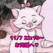 ヒメ日記 2025/11/08 22:37 投稿 かれん 岐阜岐南各務原ちゃんこ