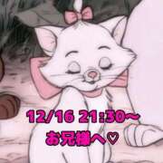 ヒメ日記 2025/12/17 00:17 投稿 かれん 岐阜岐南各務原ちゃんこ