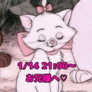 ヒメ日記 2026/01/17 01:07 投稿 かれん 岐阜岐南各務原ちゃんこ