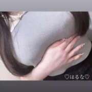 ヒメ日記 2025/09/17 17:45 投稿 はるな ごほうびSPA上野店