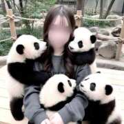 ヒメ日記 2025/12/18 08:12 投稿 ゆいか【感動超えの神カワ美女】 La.qoo　金沢本店