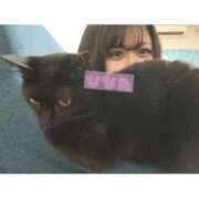 ヒメ日記 2025/07/22 18:02 投稿 ひなた KIREI（五反田）