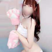 せら 22時から-    - マリアージュ大宮