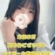 ヒメ日記 2025/06/06 08:09 投稿 えれな【ゴールドアロー】 Arrows 苫小牧・千歳店