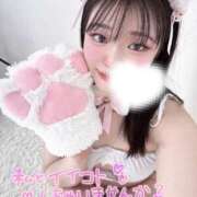 ヒメ日記 2025/06/09 16:38 投稿 あお【ゴールドアロー】 Arrows 苫小牧・千歳店