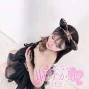 ヒメ日記 2025/06/15 17:48 投稿 あお【ゴールドアロー】 Arrows 苫小牧・千歳店