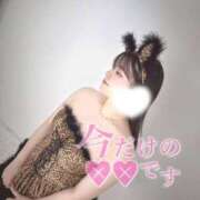 ヒメ日記 2025/08/12 05:38 投稿 あお【ゴールドアロー】 Arrows 苫小牧・千歳店