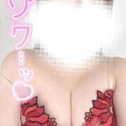 ヒメ日記 2025/11/28 17:58 投稿 あお【ゴールドアロー】 Arrows 苫小牧・千歳店