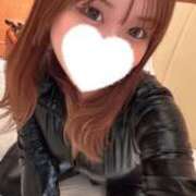 ヒメ日記 2025/06/16 18:23 投稿 こむぎ【ゴールドアロー】 Arrows 苫小牧・千歳店