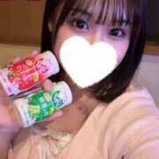 ヒメ日記 2025/07/01 15:48 投稿 こむぎ【ゴールドアロー】 Arrows 苫小牧・千歳店