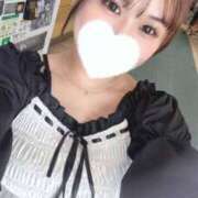 ヒメ日記 2025/07/21 08:08 投稿 こむぎ【ゴールドアロー】 Arrows 苫小牧・千歳店