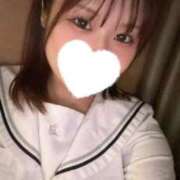 ヒメ日記 2025/09/08 10:28 投稿 こむぎ【ゴールドアロー】 Arrows 苫小牧・千歳店