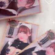 ヒメ日記 2025/10/07 08:08 投稿 こむぎ【ゴールドアロー】 Arrows 苫小牧・千歳店