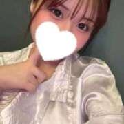 ヒメ日記 2025/10/21 23:31 投稿 こむぎ【ゴールドアロー】 Arrows 苫小牧・千歳店