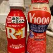 ヒメ日記 2025/10/31 05:48 投稿 こむぎ【ゴールドアロー】 Arrows 苫小牧・千歳店