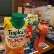 ヒメ日記 2025/11/03 02:08 投稿 こむぎ【ゴールドアロー】 Arrows 苫小牧・千歳店