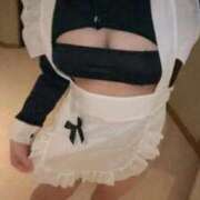 ヒメ日記 2025/11/03 07:18 投稿 こむぎ【ゴールドアロー】 Arrows 苫小牧・千歳店