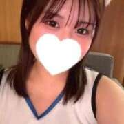 ヒメ日記 2025/11/08 08:38 投稿 こむぎ【ゴールドアロー】 Arrows 苫小牧・千歳店