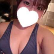 ヒメ日記 2025/11/17 17:28 投稿 こむぎ【ゴールドアロー】 Arrows 苫小牧・千歳店