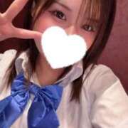 ヒメ日記 2025/11/22 09:18 投稿 こむぎ【ゴールドアロー】 Arrows 苫小牧・千歳店